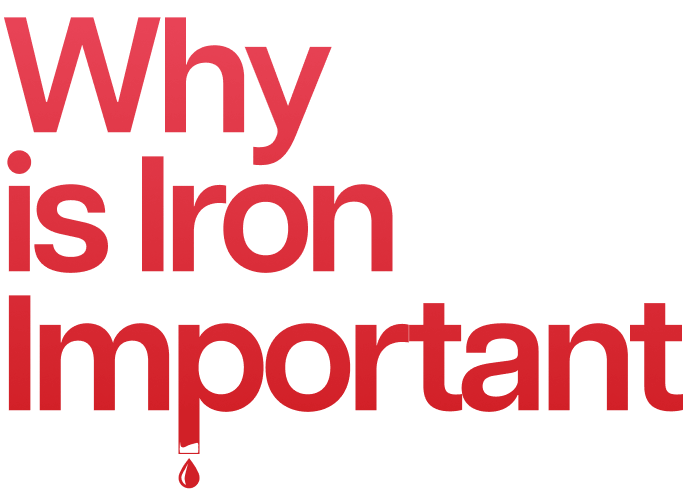 IV Plus | Recovery Drips Sydney