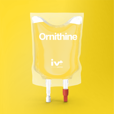 IV Plus | Recovery Drips Sydney