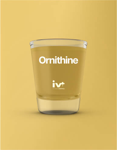 IV Plus | Recovery Drips Sydney